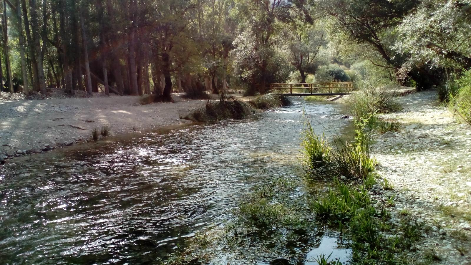 Nacimiento del río Peralta entre árboles y agua clara